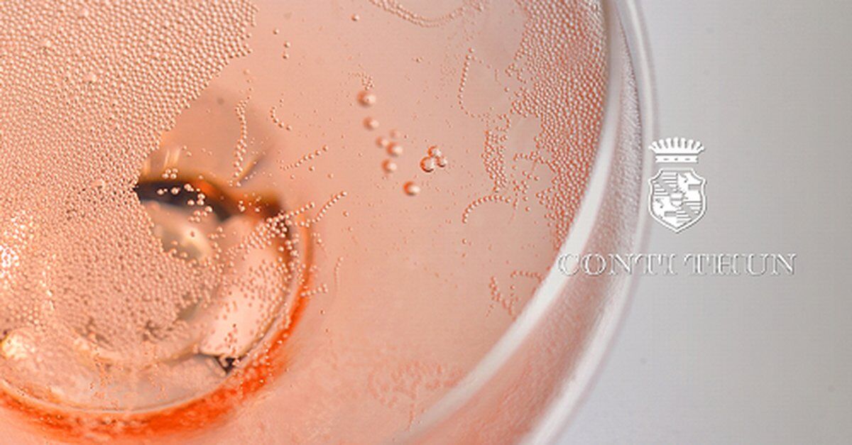 Meeters & Winelivery: degustazione Conti Thun e lezione di armocromia Meeters & Winelivery: degustazione Conti Thun e lezione di armocromia desktop picture