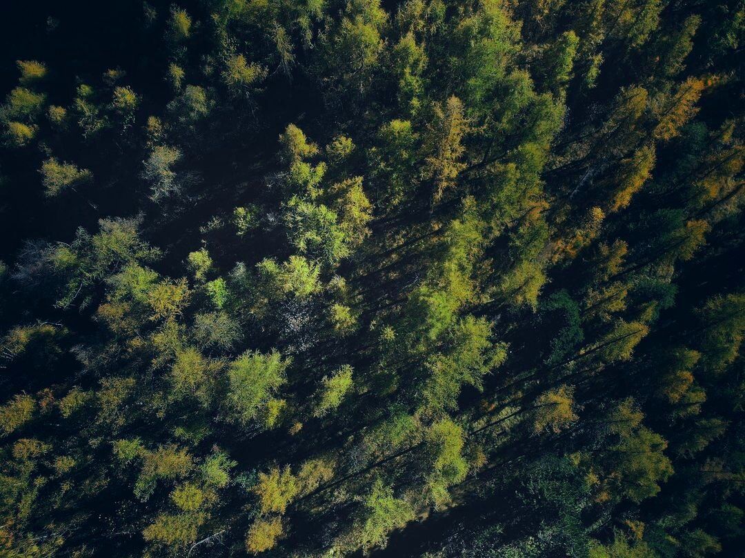 Camminata di primavera al Santuario della Madonna della Bassa Camminata di primavera al Santuario della Madonna della Bassa desktop picture