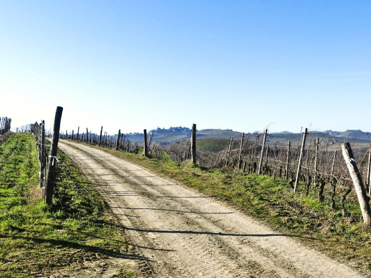 Escursione nell'Alto Monferrato con degustazione di miele e vino desktop picture