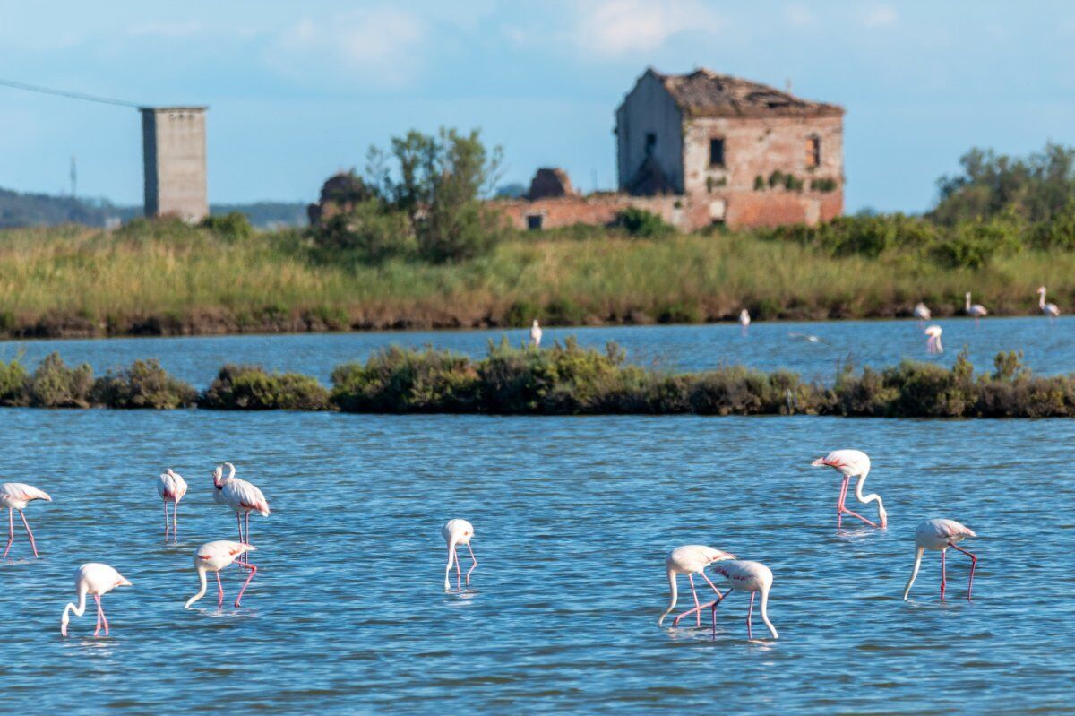 Tour in moto: alla scoperta del Parco del Delta del Po desktop picture