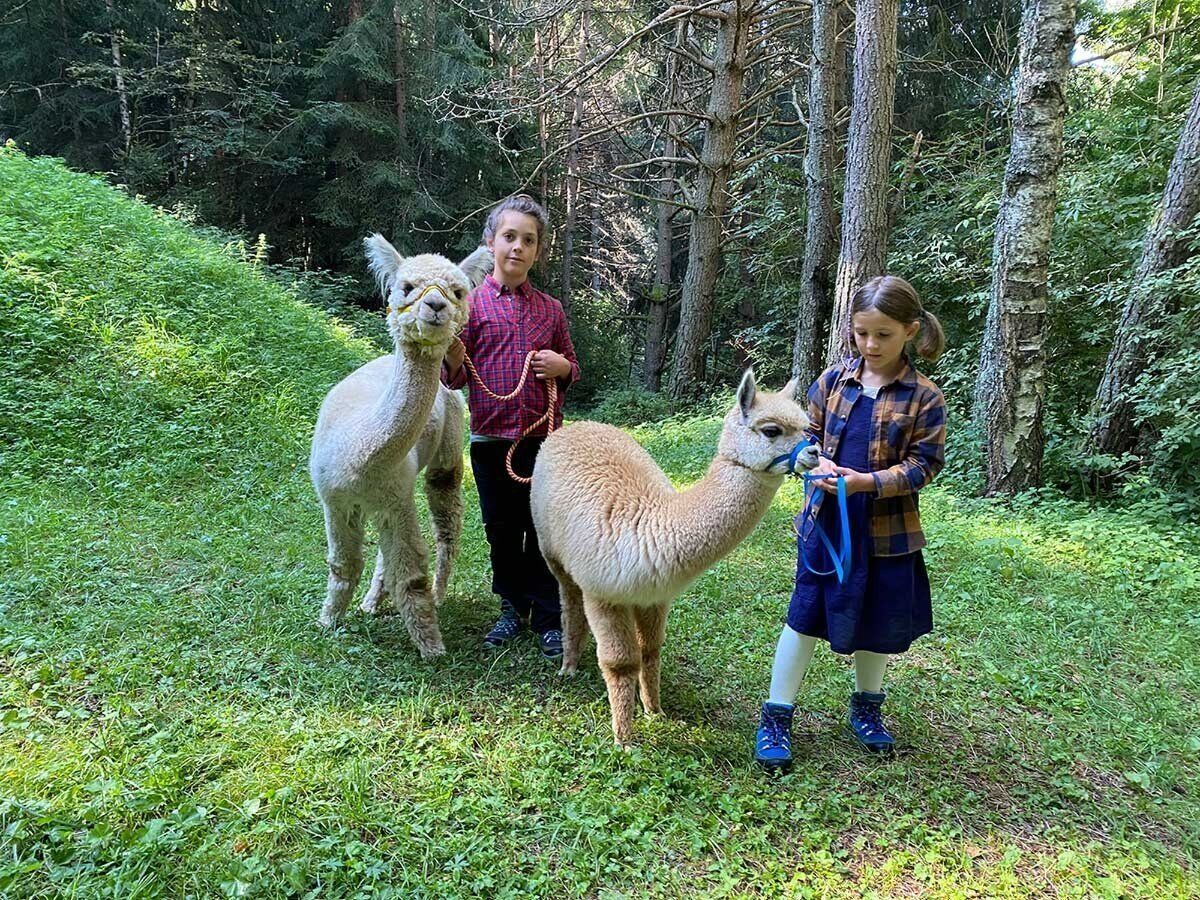Meeters & Gengle: passeggiata con figli al Parco delle Fucine alla scoperta degli Alpaca desktop picture