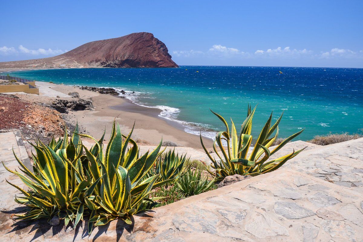 Settimana alle Canarie: Tenerife tra Relax e Natura Settimana alle Canarie: Tenerife tra Relax e Natura desktop picture