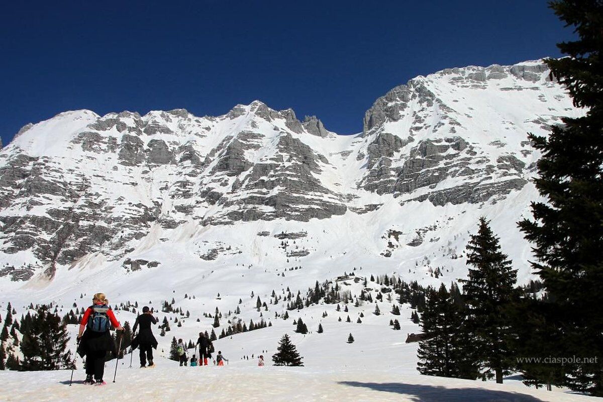 Ciaspolata panoramica sull'Altopiano del Montasio Ciaspolata panoramica sull'Altopiano del Montasio desktop picture