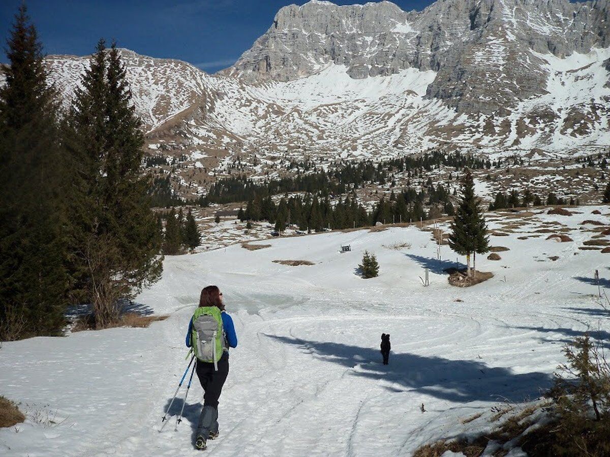 Ciaspolata panoramica sull'Altopiano del Montasio Ciaspolata panoramica sull'Altopiano del Montasio desktop picture
