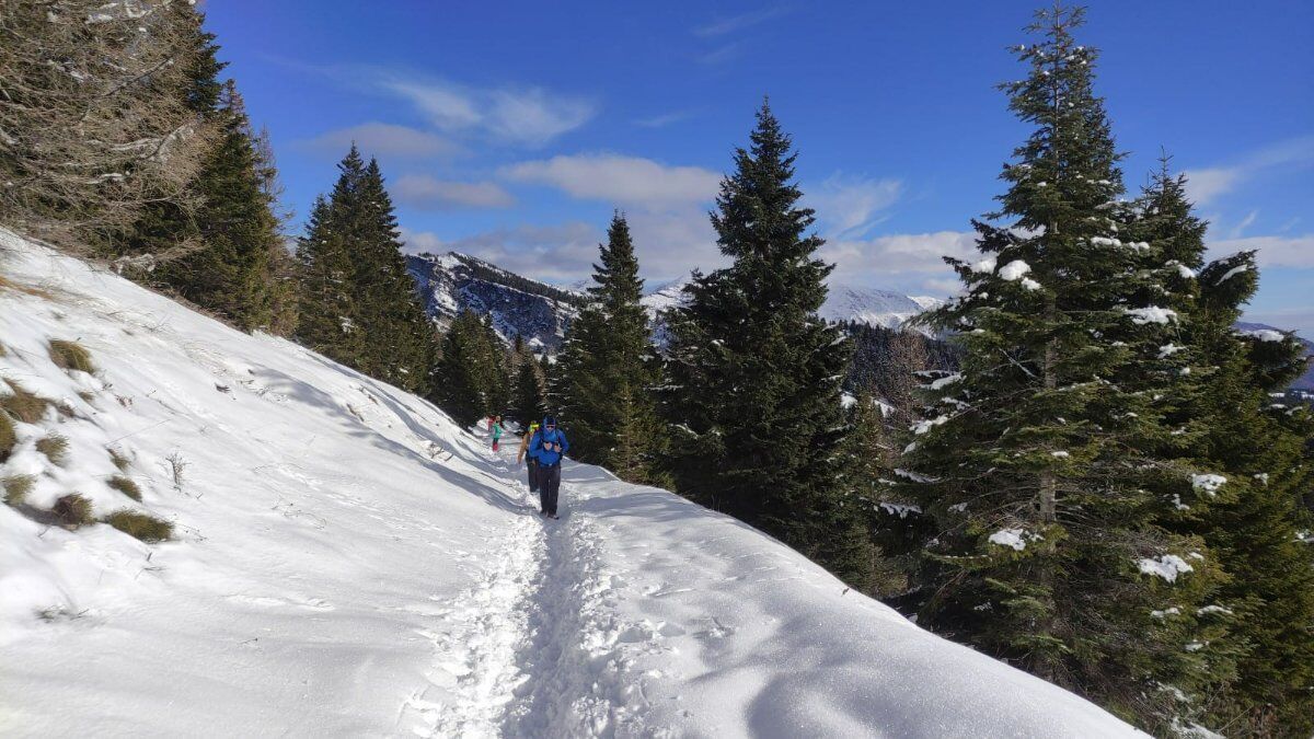 Il Forte Vezzena: trekking tra i panorami più suggestivi del Trentino Il Forte Vezzena: trekking tra i panorami più suggestivi del Trentino desktop picture