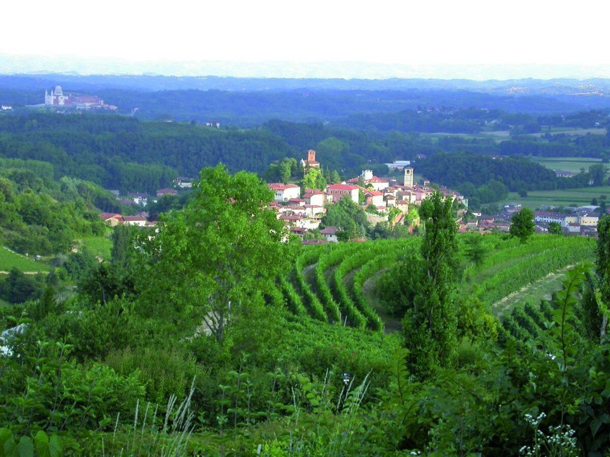 Trekking all'Abbazia di Vezzolano: tra cultura e natura Trekking all'Abbazia di Vezzolano: tra cultura e natura desktop picture