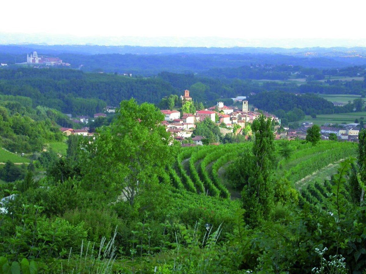 Trekking all'Abbazia di Vezzolano: tra cultura e natura desktop picture