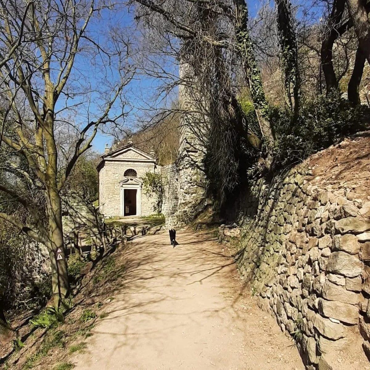 Trekking a Teolo: la Grotta dei Minatori Blasfemi e il Monte Altore desktop picture