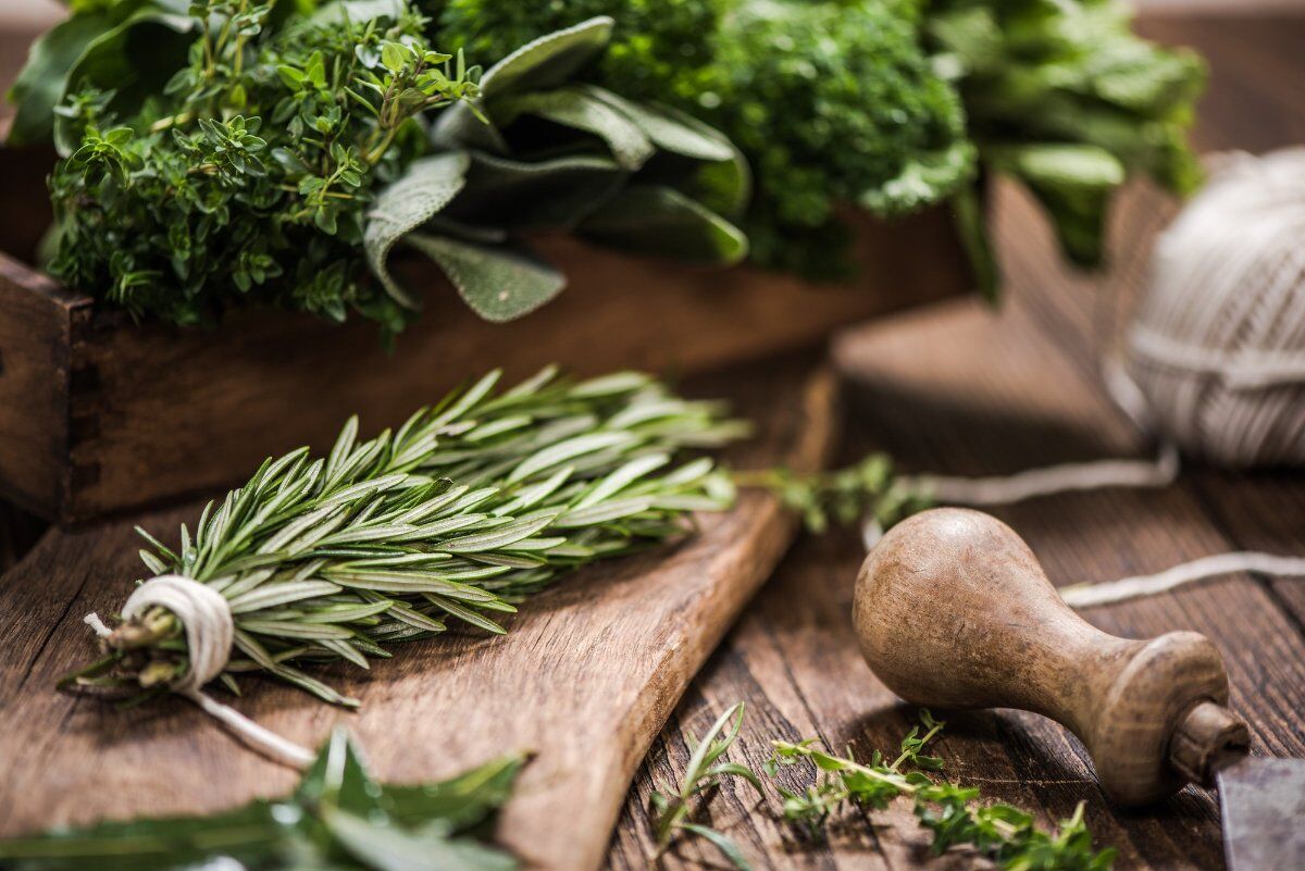 Incontro online di Botanica: conosciamo le piante selvatiche commestibili Incontro online di Botanica: conosciamo le piante selvatiche commestibili desktop picture