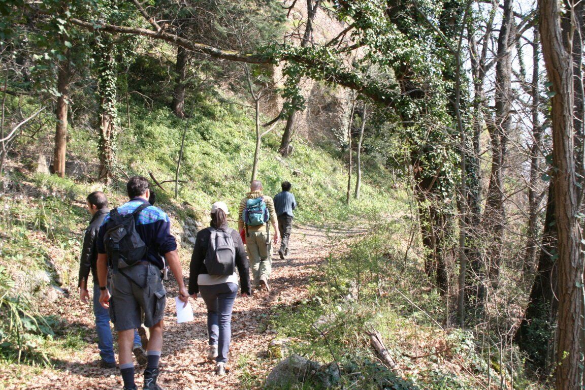 Trekking a Monte Mauro: cuore più selvaggio della Vena del Gesso Trekking a Monte Mauro: cuore più selvaggio della Vena del Gesso desktop picture