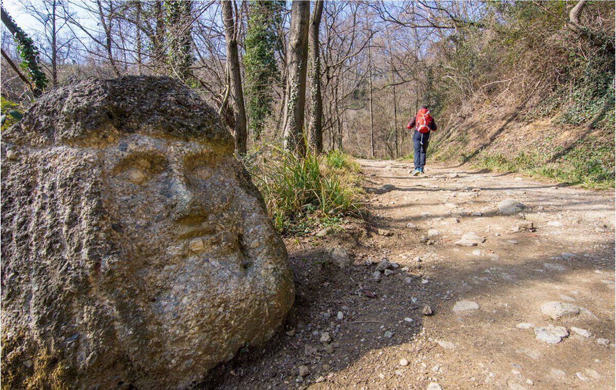 Trekking sulle pendici del Monte Canto e raccolta di Tulipani desktop picture