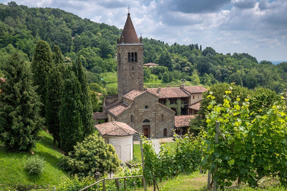 Trekking sulle pendici del Monte Canto e raccolta di Tulipani Trekking sulle pendici del Monte Canto e raccolta di Tulipani desktop picture