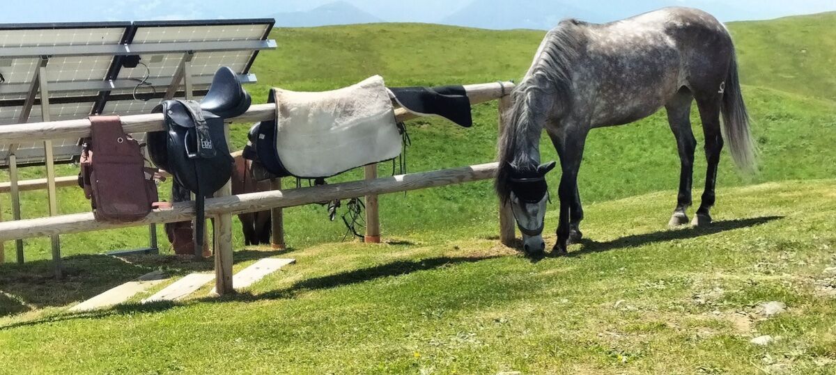 Dal Monte Farno al Rifugio Parafulmine: trekking in Val Gandino Dal Monte Farno al Rifugio Parafulmine: trekking in Val Gandino desktop picture