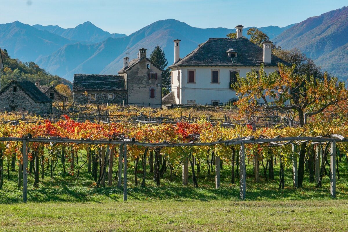 La Via del Mercato in Val Vigezzo: tra vigne e paesi fantasma desktop picture