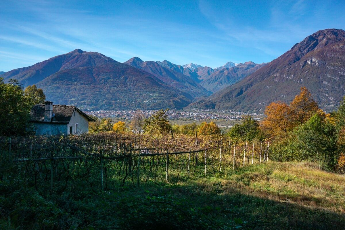 La Via del Mercato in Val Vigezzo: tra vigne e paesi fantasma desktop picture