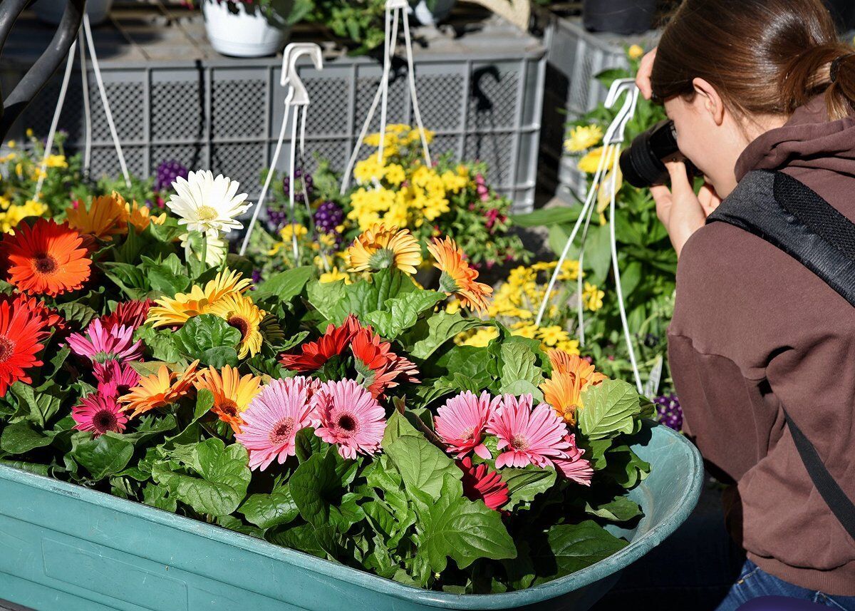 Passeggiata a Castellaro Lagusello: la festa dei fiori Passeggiata a Castellaro Lagusello: la festa dei fiori desktop picture
