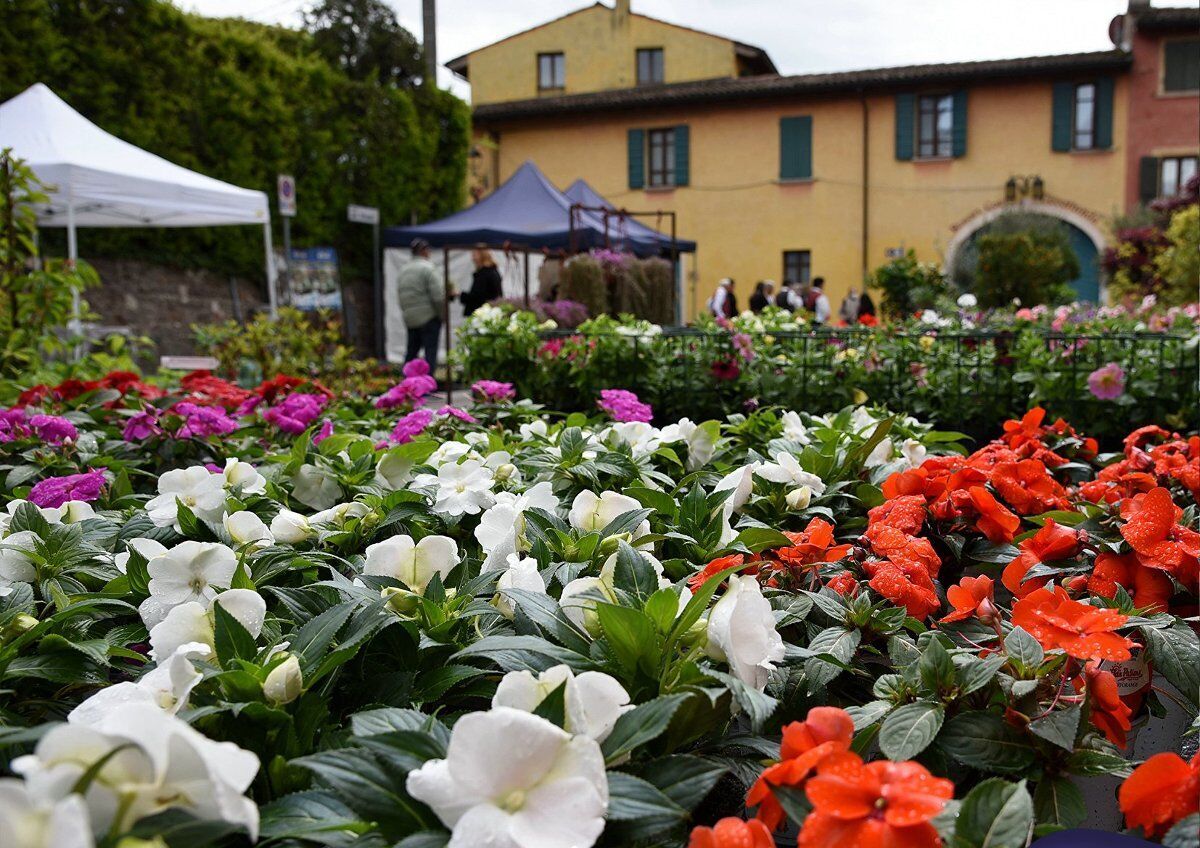 Passeggiata a Castellaro Lagusello: la festa dei fiori Passeggiata a Castellaro Lagusello: la festa dei fiori desktop picture