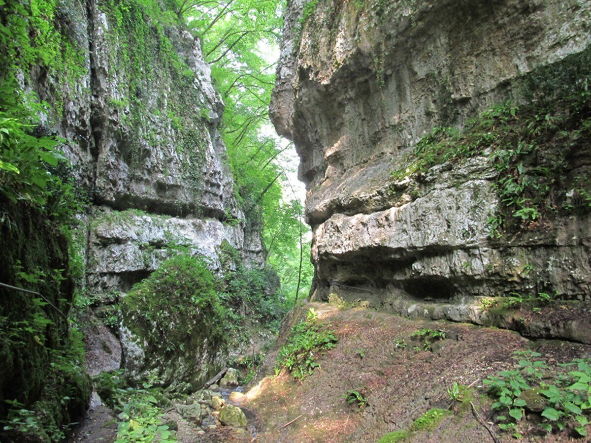 Escursione nella Valsorda in Lessinia: tra ponti e cascate Escursione nella Valsorda in Lessinia: tra ponti e cascate desktop picture
