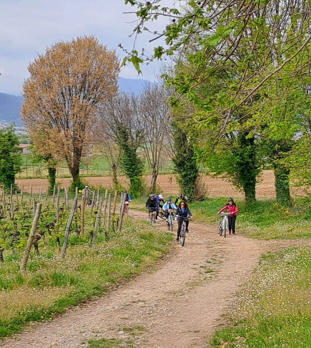 Bike tour con degustazione tra il Lago d’Iseo e i vigneti della Franciacorta desktop picture