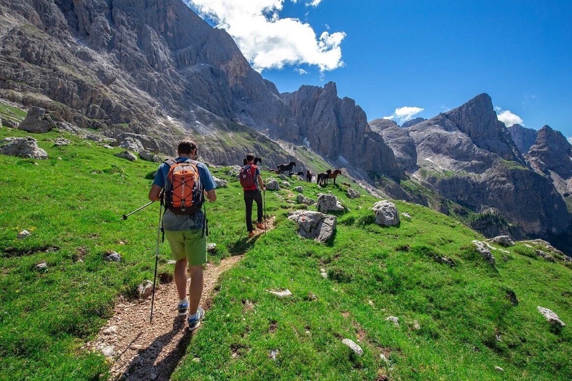 Itinerario a San Martino di Castrozza: crode rosse e Cimon della Pala Itinerario a San Martino di Castrozza: crode rosse e Cimon della Pala desktop picture