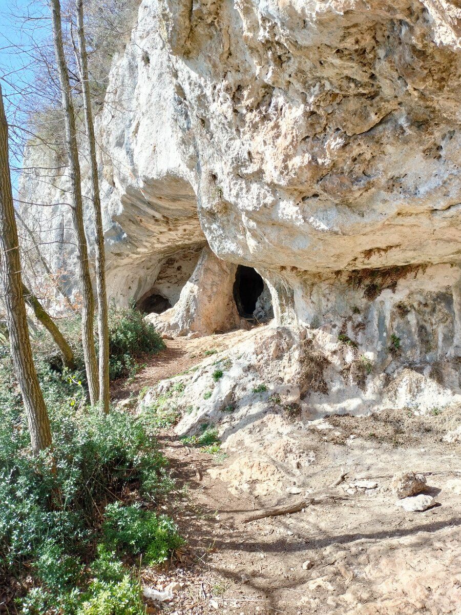 Trekking tra i Covoli e Degustazione in cantina nei Colli Berici Trekking tra i Covoli e Degustazione in cantina nei Colli Berici desktop picture