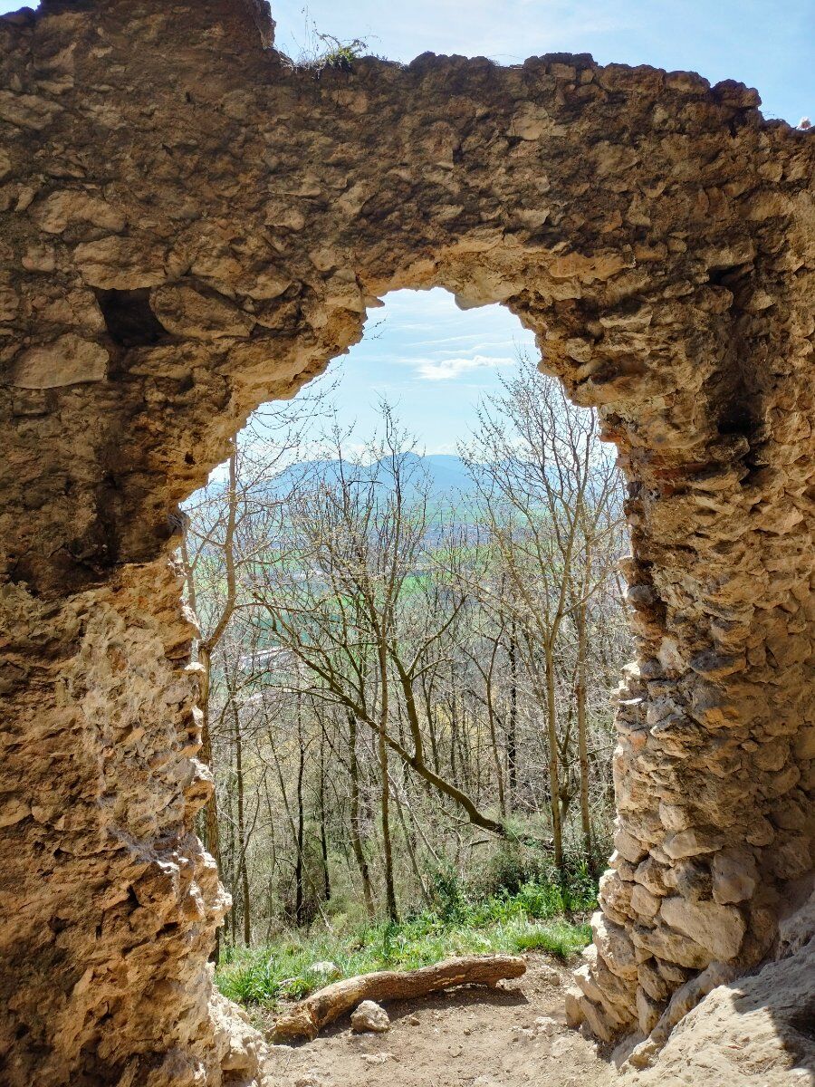 Trekking tra i Covoli e Degustazione in cantina nei Colli Berici Trekking tra i Covoli e Degustazione in cantina nei Colli Berici desktop picture