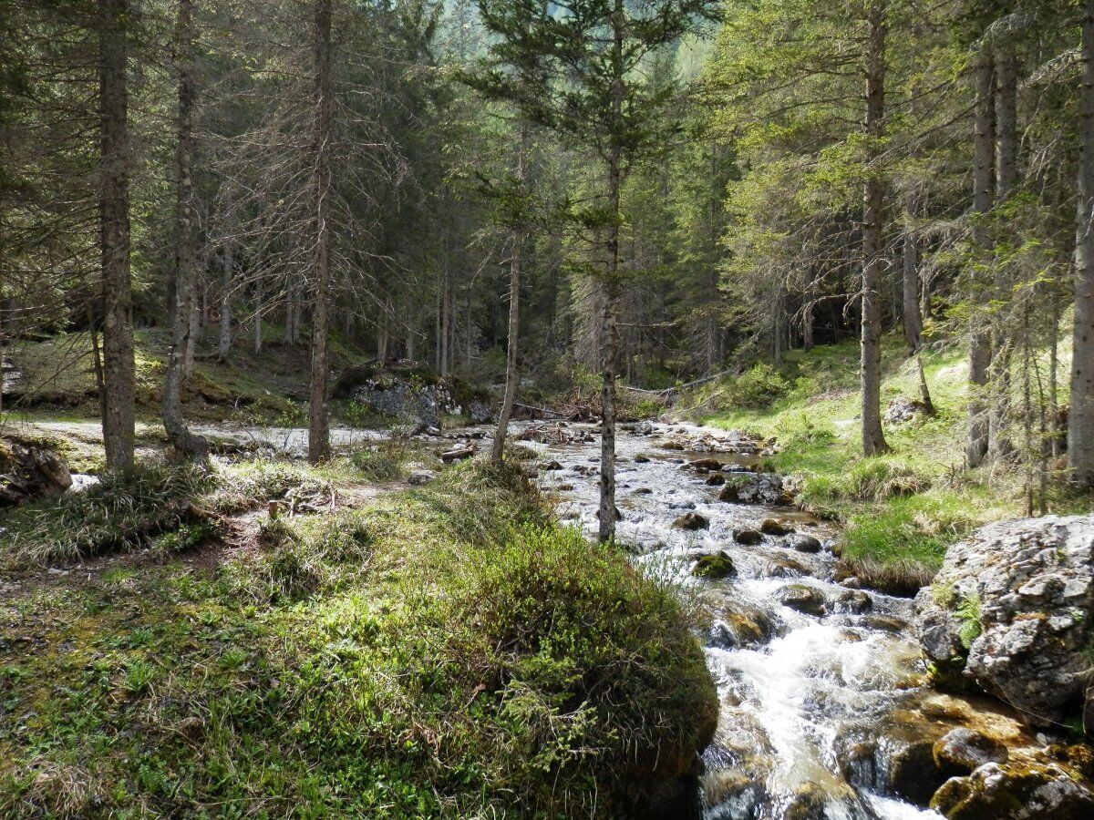 Trekking con pranzo ai piedi del Monte Civetta: le Sorgenti del Maè desktop picture