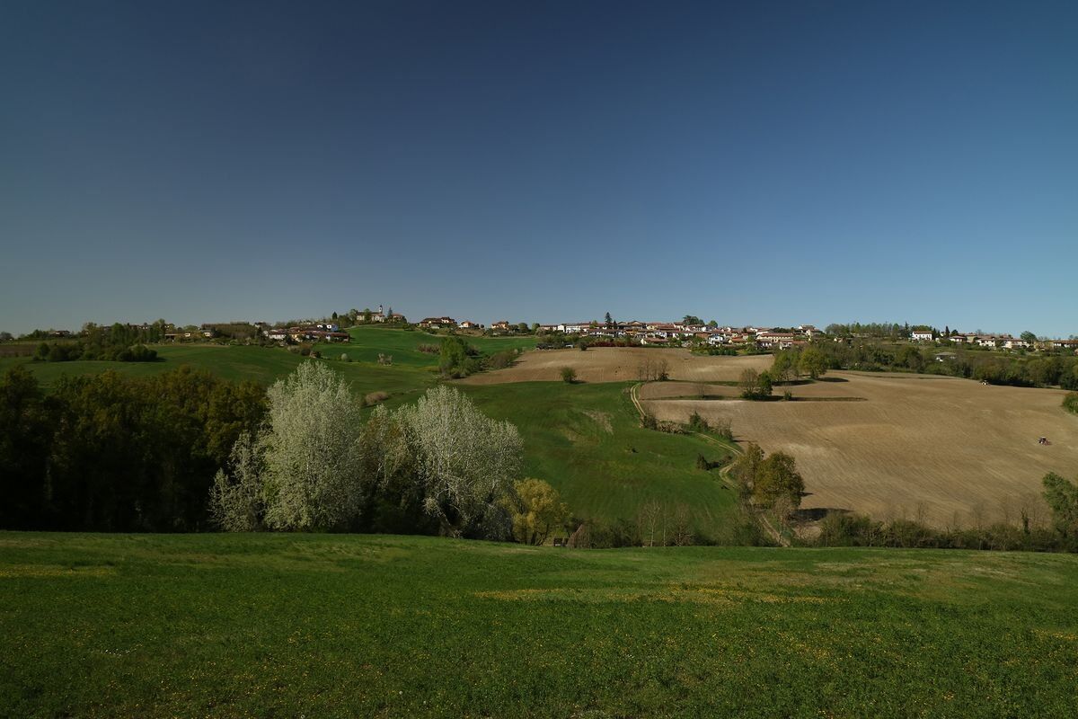 Anello di Coniolo: Escursione tra le anse del Po Anello di Coniolo: Escursione tra le anse del Po desktop picture