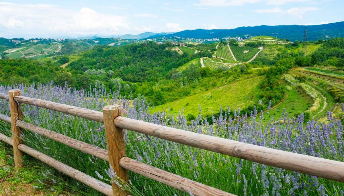 Anello di Coniolo: Escursione tra le anse del Po Anello di Coniolo: Escursione tra le anse del Po desktop picture