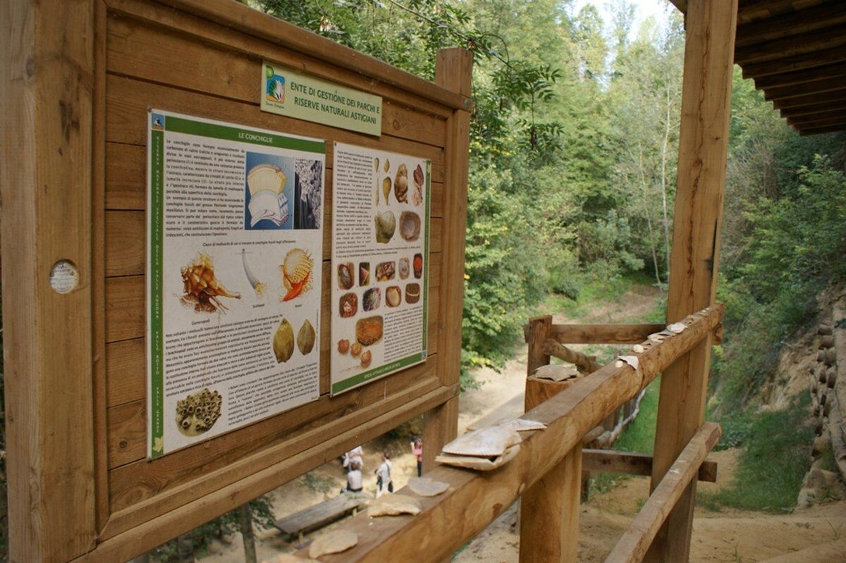 Escursione ad anello a Cinaglio: tra natura e storia desktop picture