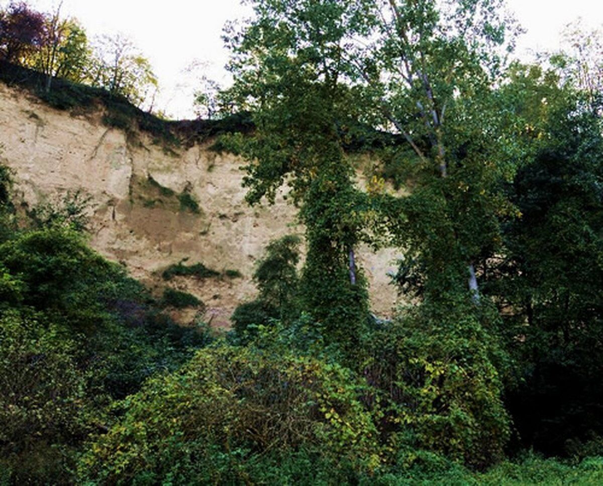 Escursione ad anello a Cinaglio: tra natura e storia desktop picture