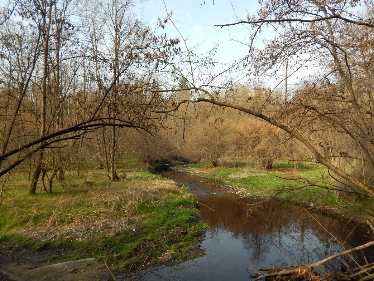 Escursione al Torrente Lura: Natura, Amicizia e Relax Escursione al Torrente Lura: Natura, Amicizia e Relax desktop picture