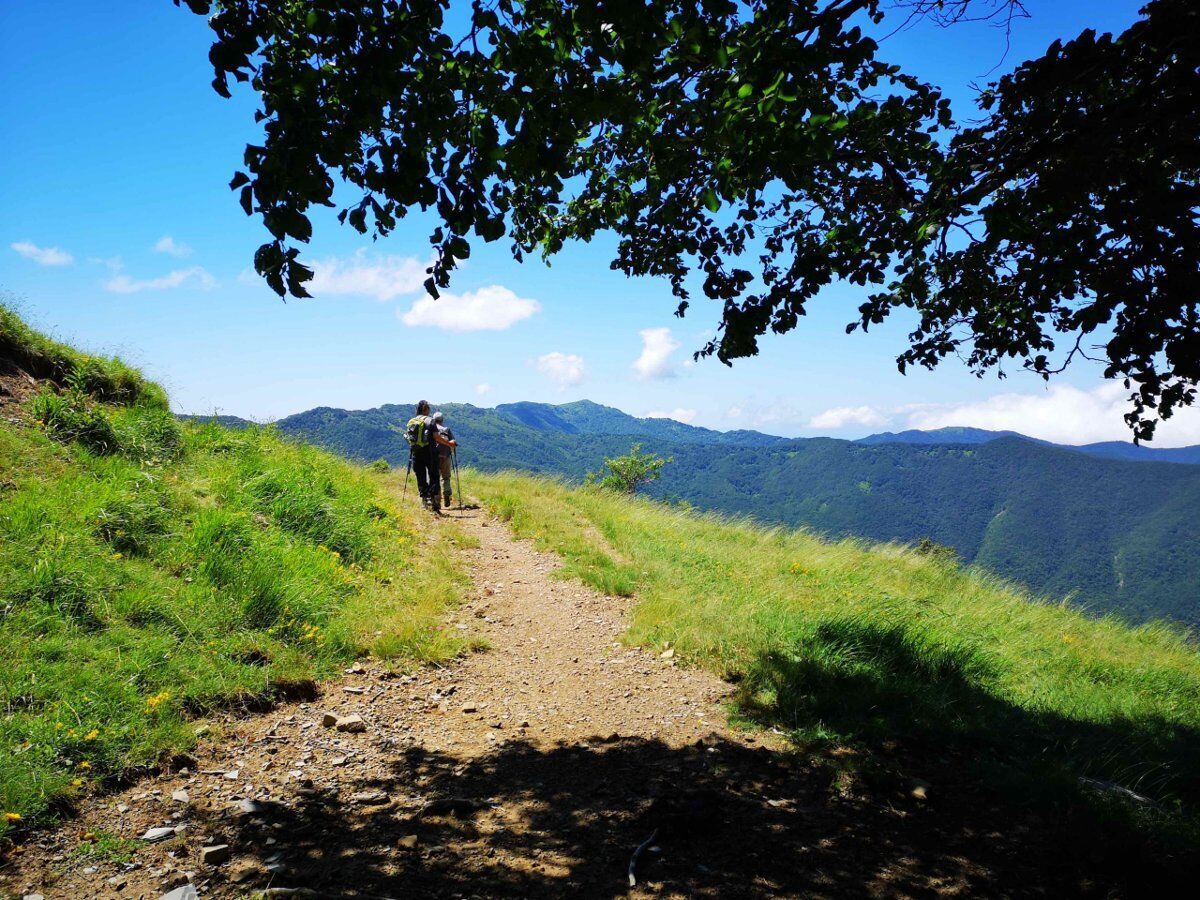 Trekking verso il Monte Carmo: i panorami dell’entroterra ligure desktop picture