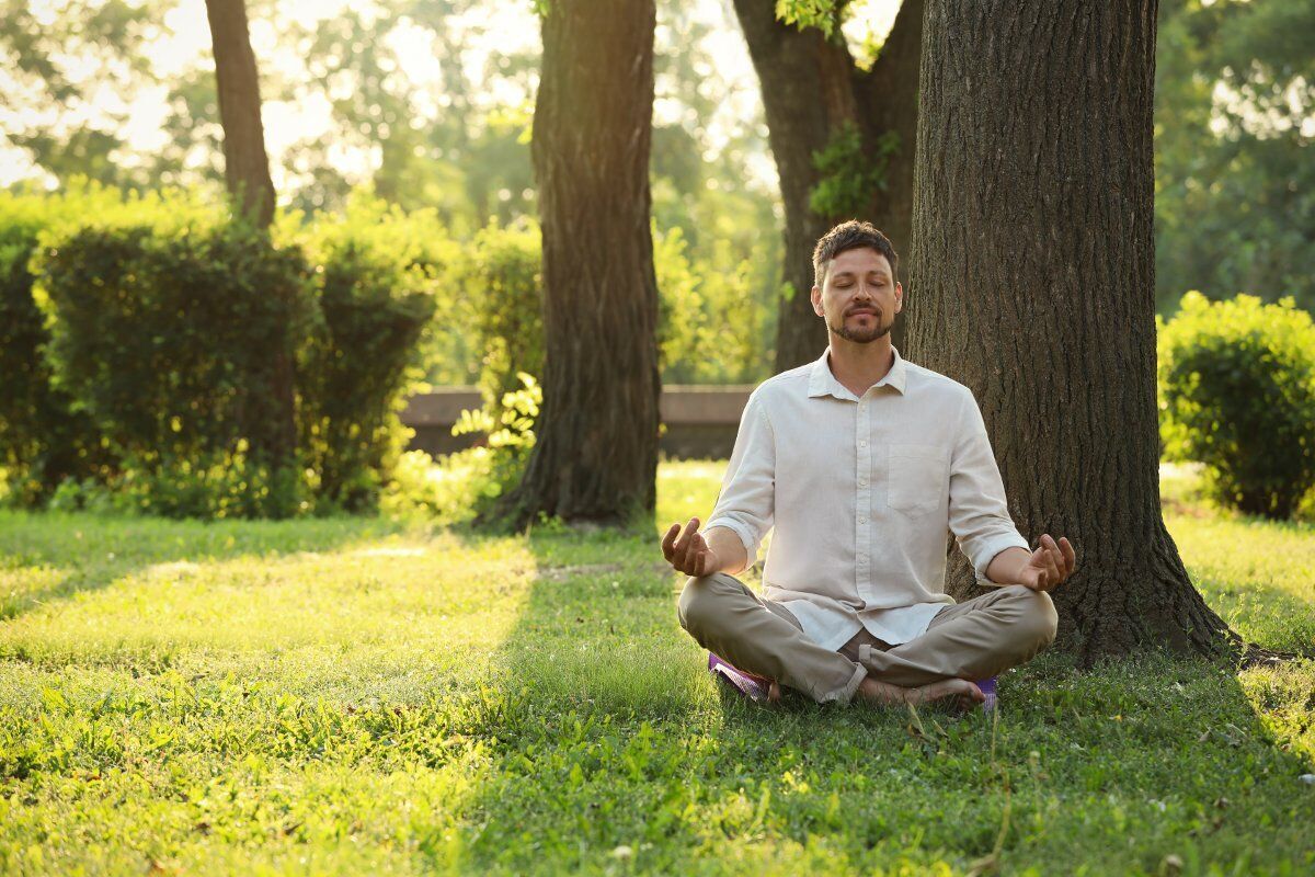 Mindfulness e Benessere nel bosco: allenare mente e corpo Mindfulness e Benessere nel bosco: allenare mente e corpo desktop picture