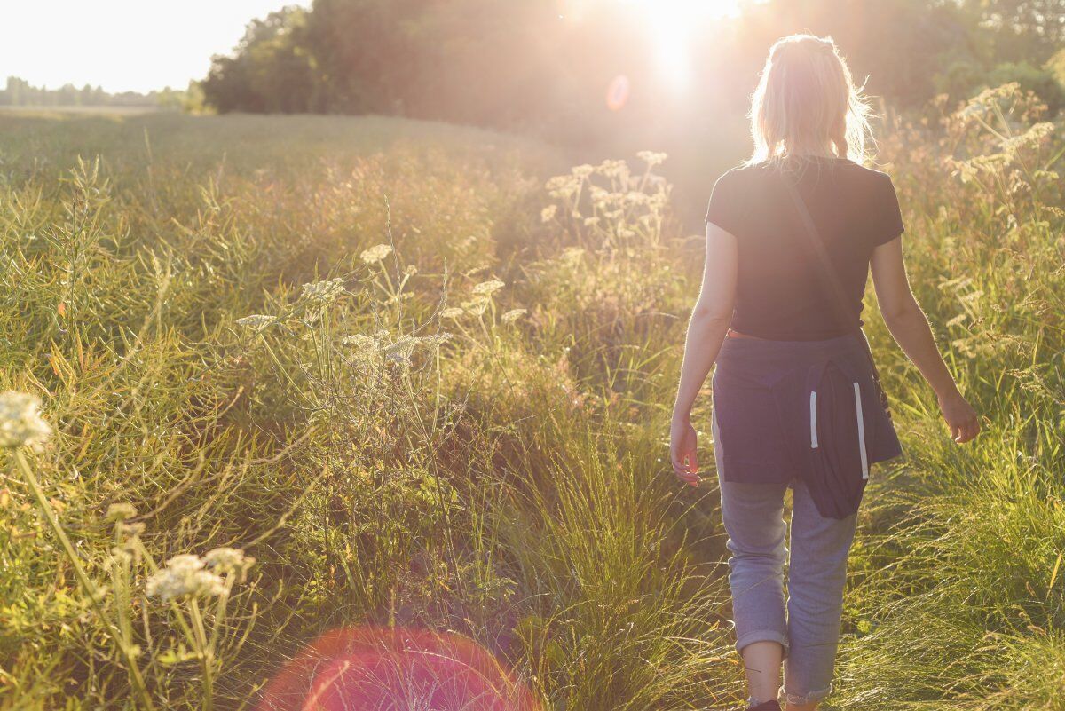 Mindfulness e Benessere nel bosco: allenare mente e corpo Mindfulness e Benessere nel bosco: allenare mente e corpo desktop picture