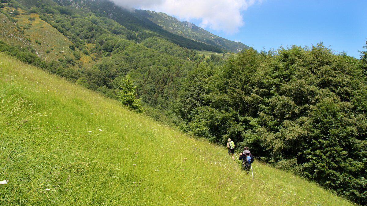 Giro delle Malghe sul Monte Baldo desktop picture