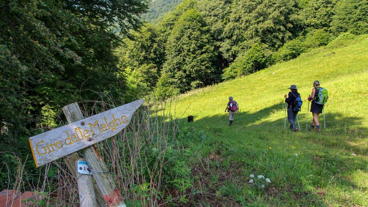 Giro delle Malghe sul Monte Baldo desktop picture