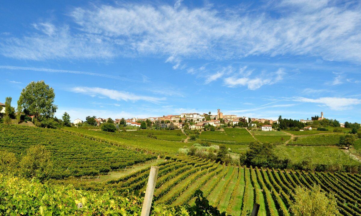 Speciale Monfreedom e Meeters ad Alice Bel Colle: natura e vino in Monferrato Speciale Monfreedom e Meeters ad Alice Bel Colle: natura e vino in Monferrato desktop picture