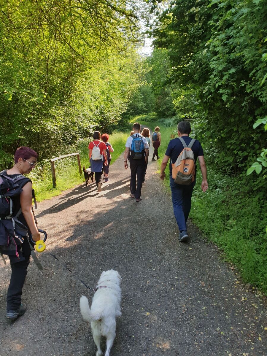 Trekking alle pendici di Bergamo Alta: l'incantevole Sentiero dei Vasi Trekking alle pendici di Bergamo Alta: l'incantevole Sentiero dei Vasi desktop picture