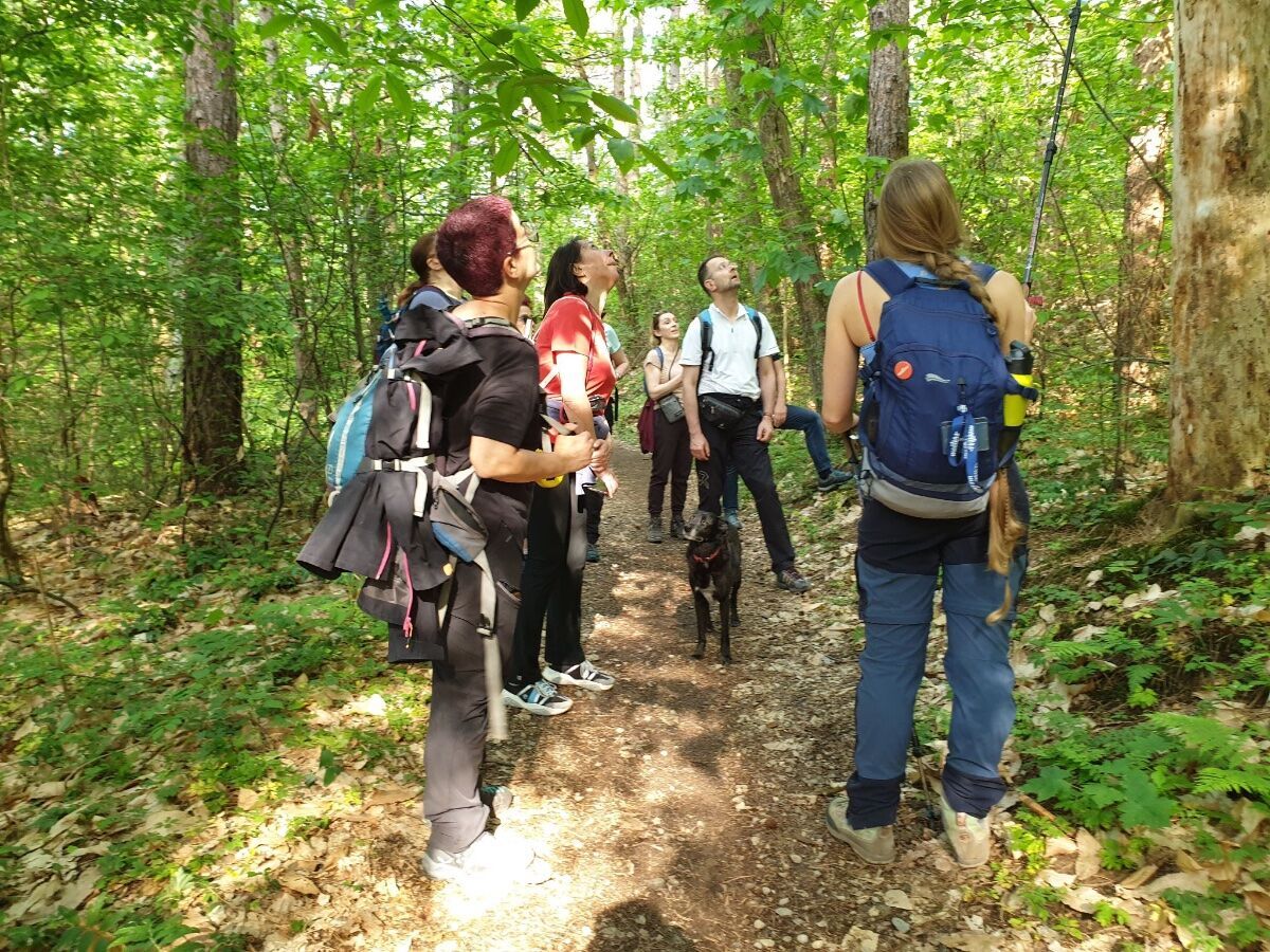 Trekking alle pendici di Bergamo Alta: l'incantevole Sentiero dei Vasi Trekking alle pendici di Bergamo Alta: l'incantevole Sentiero dei Vasi desktop picture