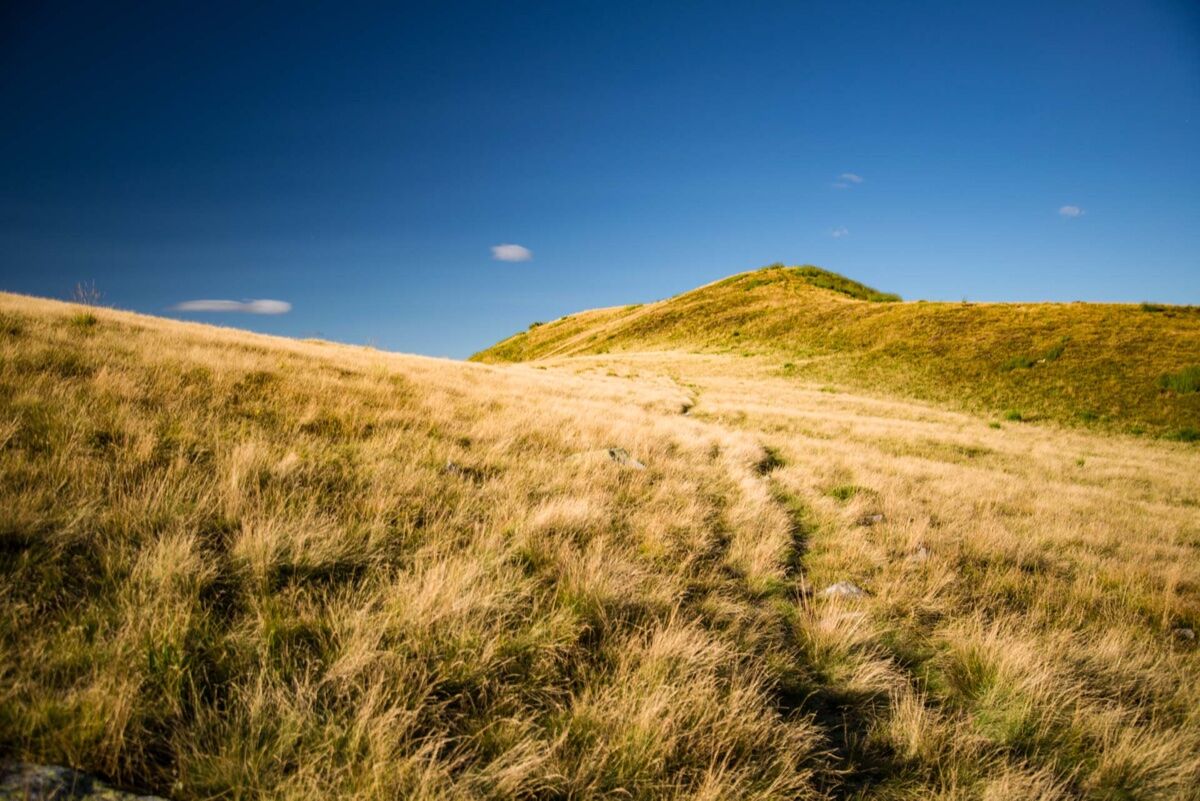 Escursione nel Varesotto tra camosci, aquile e panorami mozzafiato Escursione nel Varesotto tra camosci, aquile e panorami mozzafiato desktop picture