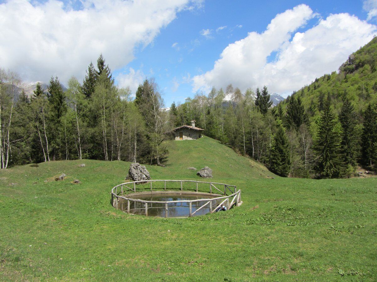 Trekking da Serina al Colle di Zambla: pinete e panorami mozzafiato Trekking da Serina al Colle di Zambla: pinete e panorami mozzafiato desktop picture
