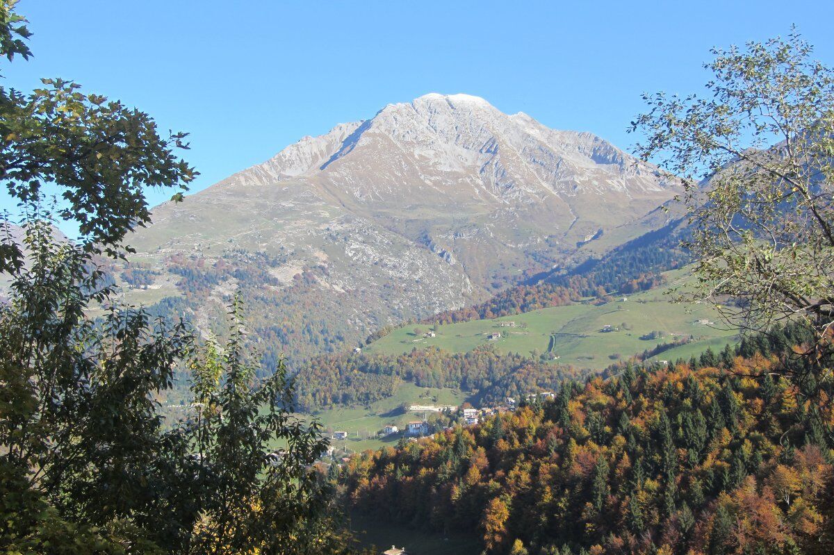 Trekking da Serina al Colle di Zambla: pinete e panorami mozzafiato Trekking da Serina al Colle di Zambla: pinete e panorami mozzafiato desktop picture