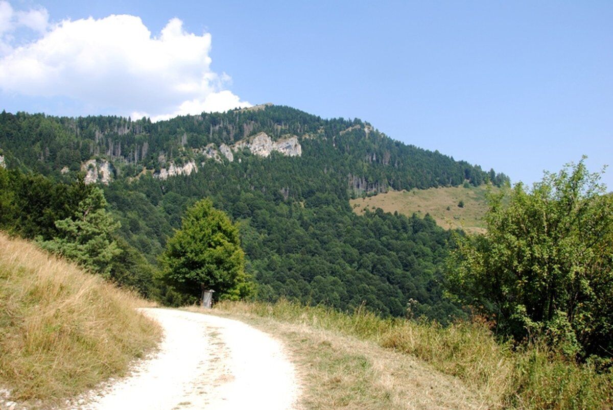 Trekking dall’Osservatorio Astronomico al Monte delle Erbe desktop picture