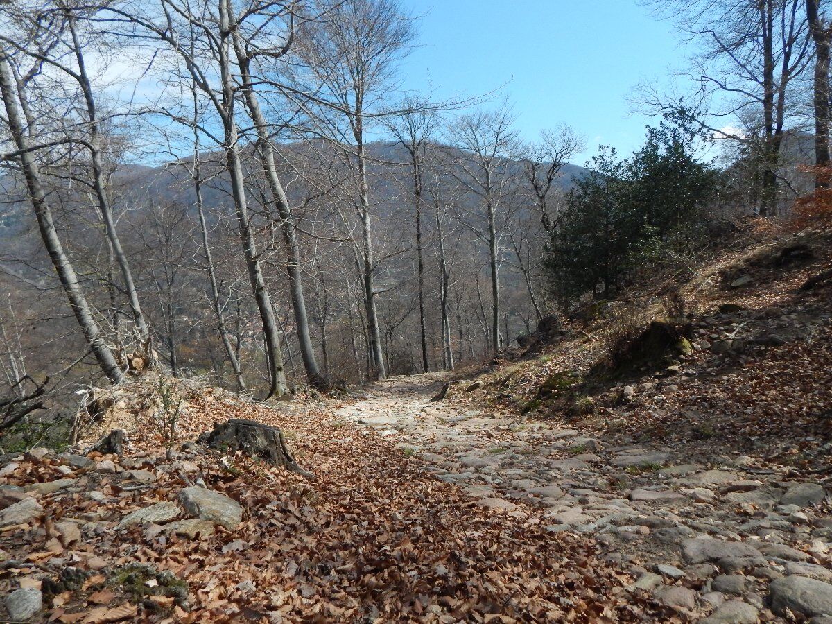 Percorso ad anello in Valganna tra laghetti, ruscelli e panorami Percorso ad anello in Valganna tra laghetti, ruscelli e panorami desktop picture