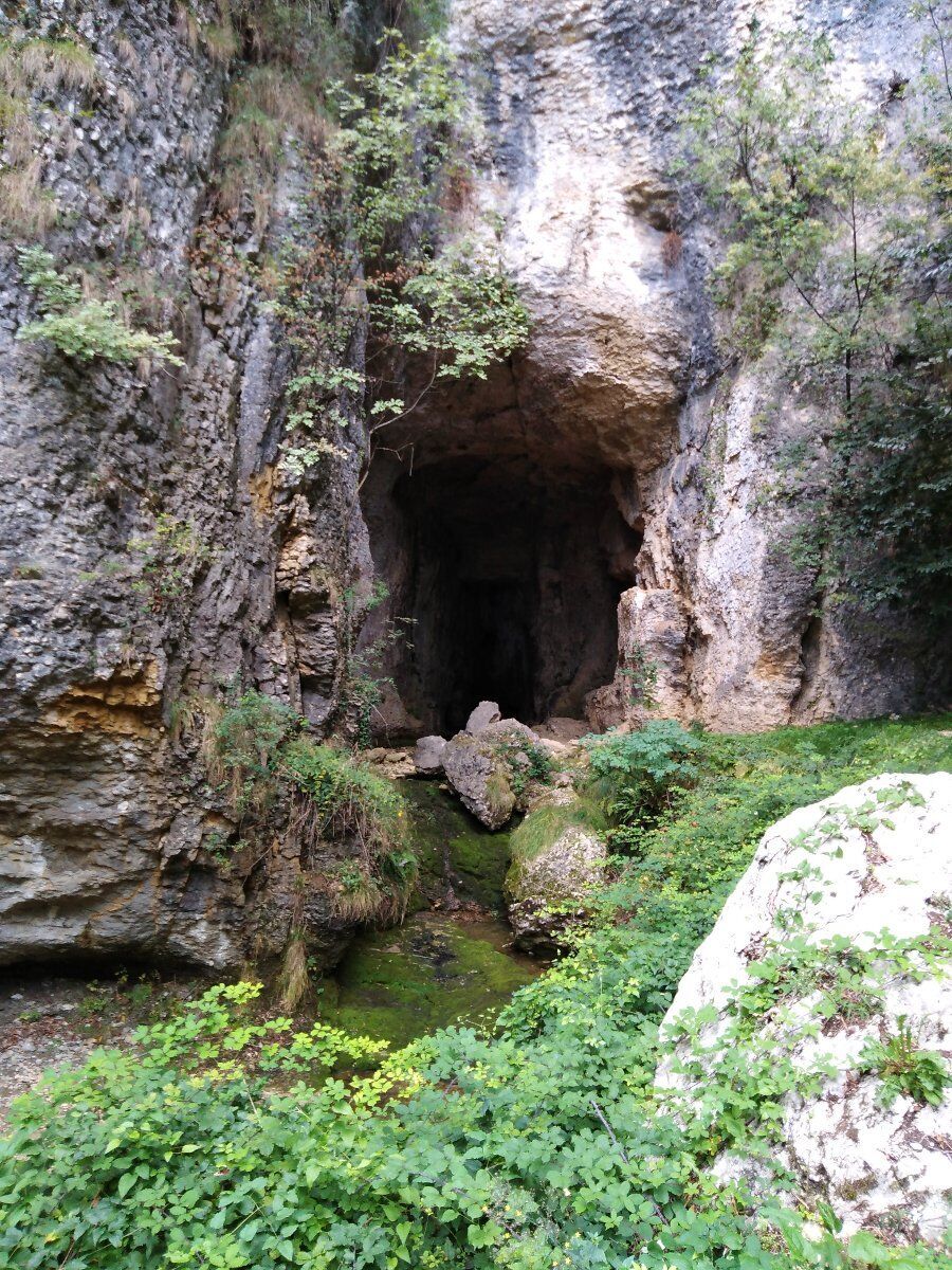 Viaggio nel tempo a Monte di Malo: trekking e cena di prodotti locali Viaggio nel tempo a Monte di Malo: trekking e cena di prodotti locali desktop picture