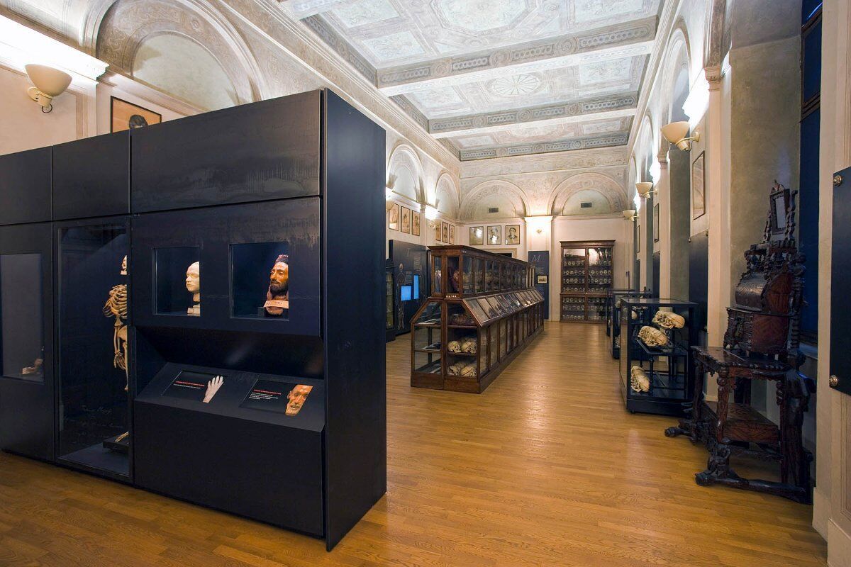 Visita al Museo di Antropologia Criminale di Torino desktop picture
