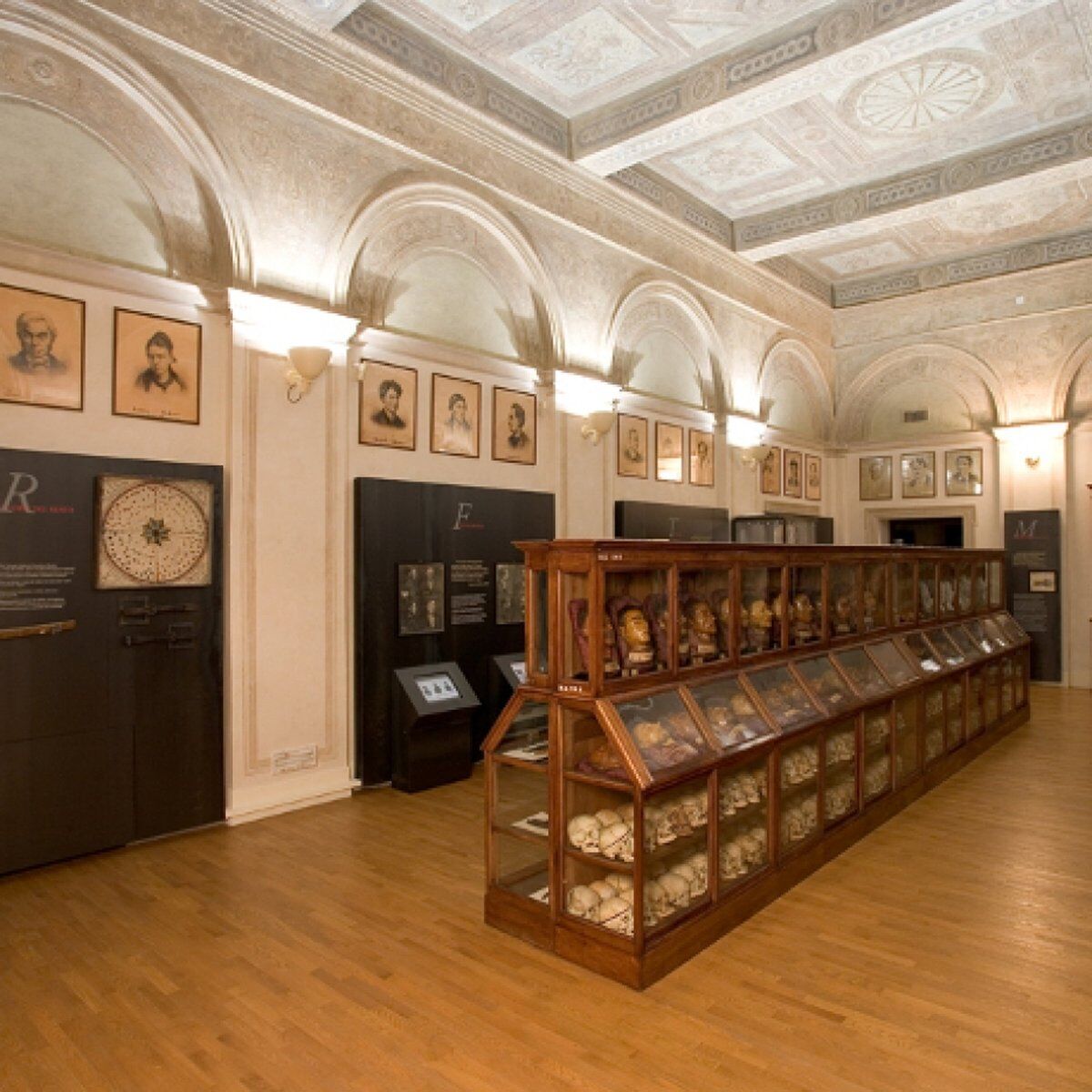 Visita al Museo di Antropologia Criminale di Torino desktop picture