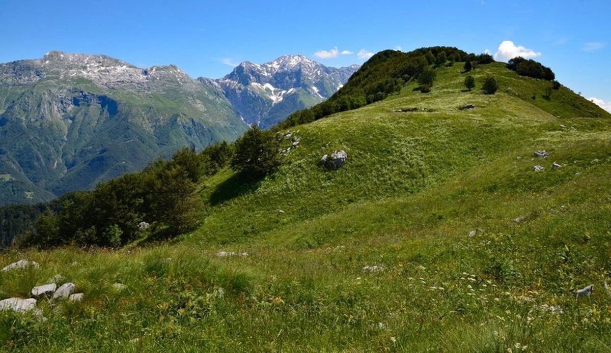 Escursione panoramica sul Monte Nische con pranzo in baita desktop picture