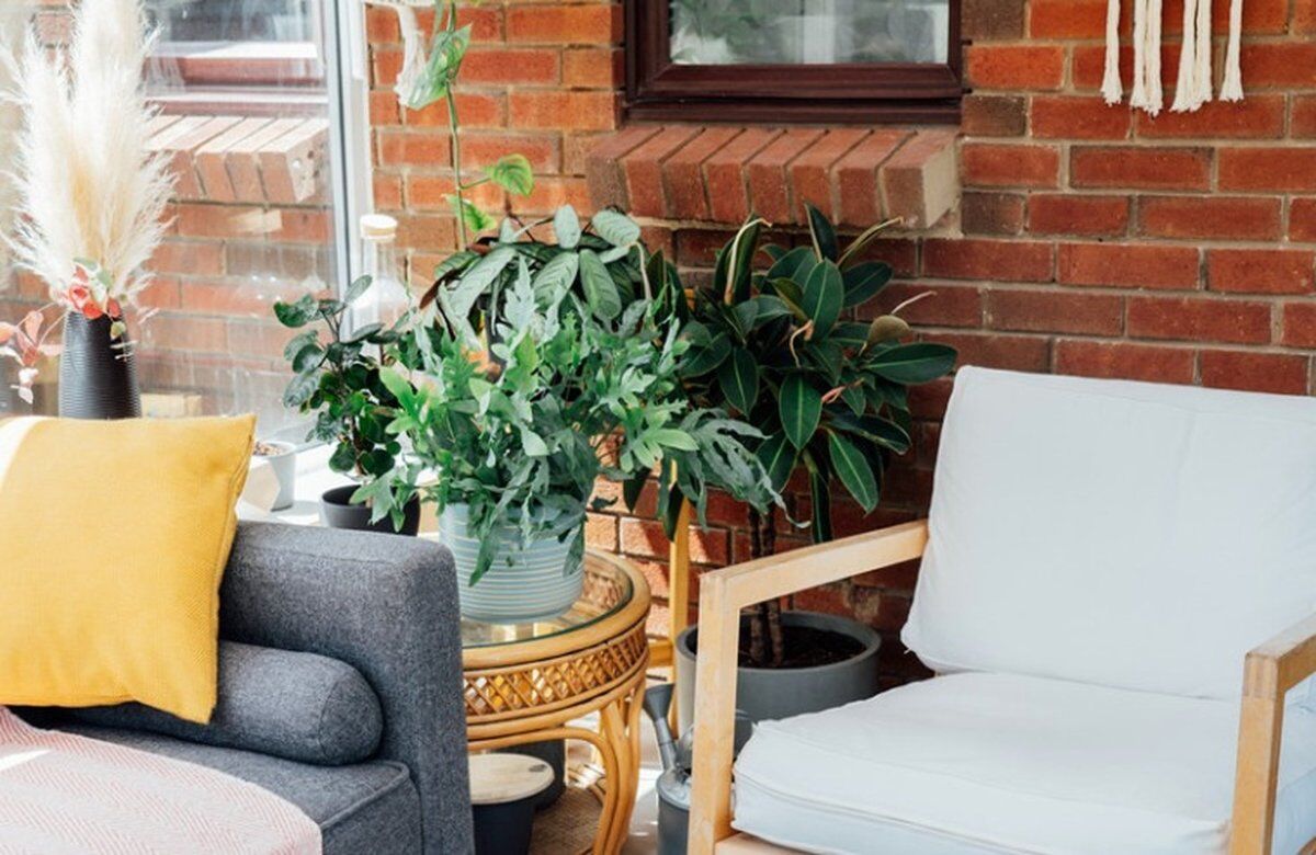 Sessione di connessione con la natura a Verona, Città Biofilica Sessione di connessione con la natura a Verona, Città Biofilica desktop picture